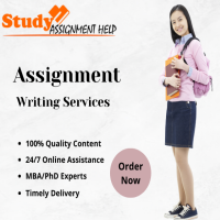  Top Assignment Writing Service by professional writers