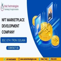 What to expect when launching an NFT marketplace development platform